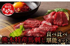 【年内配送対応】熊本特産 馬刺し 食べ比べ 堪能セット 合計310g 【 上赤身 ・ ユッケ ・ ネギトロ ・ 赤身 】ソムリエ セレクト 本場 熊本県 馬刺し 馬肉 肉 食べ比べ ヘルシー 赤身 くまもと 104-0005-R712