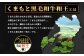 【極 和王】 くまもと黒毛和牛 和王 サーロインステーキ 330g×2