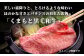 A4・A5 くまもと黒毛和牛 ロース スライス 500g