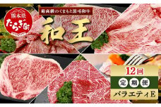 【定期便12回】くまもと 黒毛和牛 (和王) バラエティ 定期便E ブランド牛 定期便 肉 サーロイン ロース ステーキ モモ すき焼き しゃぶしゃぶ スキヤキ 焼肉 焼き肉 やきにく 牛肉 お肉 1年 12か月 定期便 プレミアム品質 122-0609