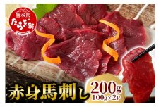 【年内配送】 赤身 馬刺し ブロック 計200g（100g×2パック）冷凍真空パック ※12月18日～28日発送※ 熊本県 多良木町 たらぎ 馬肉 馬刺し 冷凍 真空 熊本肥育  年内発送 年内配送 041-0134-R712
