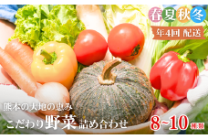 【年4回定期便】春夏秋冬 熊本の大地の恵み こだわり野菜詰め合わせ 8～10種類 定期便 野菜 獲れたて 直送 旬 熊本県 多良木町 ソムリエ 厳選 おまかせ おすすめ セレクト お試し 024-0817