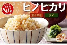 【 令和7年産 新米 玄米 】 多良木町産 ヒノヒカリ 玄米 20kg 10月中旬～発送予定 ひのひかり 熊本県 米どころ 多良木町 産 お米 米 20キロ 116-0502
