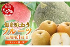 【フルーツ3回定期便B】2026年発送分 アンデスメロン・桃・梨  3回配送 旬 フルーツ 定期便 数量限定 メロン 球磨の桃 豊永の梨 果物 名産 熊本 多良木町 092-0508
