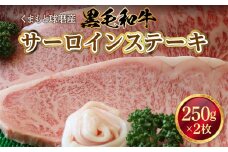 くまもと球磨産　黒毛和牛(サーロインステーキ　250g×2枚) 