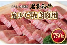 くまもと球磨産　黒毛和牛(カルビ焼き肉用　750g)