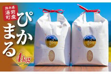 数量限定！令和5年産 湯前産ぴかまる4kg（2kg×2）