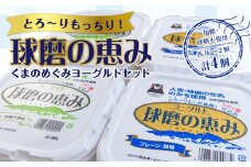 【順次配送】ヨーグル党総選挙　ム党の部　2年連続の第2位受賞！とろ～りもっちり!球磨の恵みヨーグルトセット(加糖・砂糖不使用各1kgx2個　計4個)