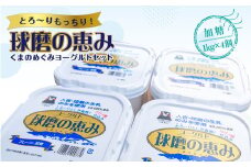 【順次発送】球磨の恵みヨーグルトセット(加糖1kg×4個)