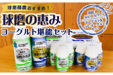 【順次発送】球磨酪農おすすめ！球磨の恵みヨーグルト堪能セット