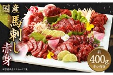 国産 馬刺し 赤身 約400g 馬肉 お肉 タレ付き