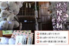 【おっぱいの神様】おっぱい神社の代理奉納セット