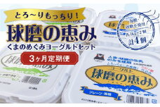 【3ヶ月定期便】とろ～りもっちり!球磨の恵みヨーグルトセット(加糖・砂糖不使用各1kgx2個 計4個)計12kg