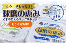 【6ヶ月定期便】とろ～りもっちり!球磨の恵みヨーグルトセット(加糖・砂糖不使用各1kgx2個 計4個)計24kg