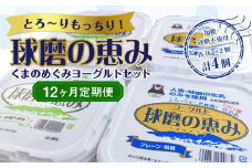 【12ヶ月定期便】とろ～りもっちり!球磨の恵みヨーグルトセット(加糖・砂糖不使用各1kgx2個 計4個)計48kg