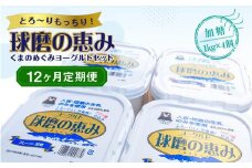 【12ヶ月定期便】球磨の恵みヨーグルトセット(加糖1kg×4個)計48kg