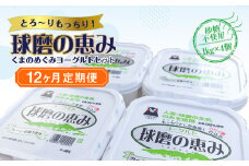【12ヶ月定期便】球磨の恵みヨーグルトセット（砂糖不使用1kg×4個）計48kg