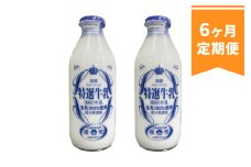 【6ヶ月定期便】球磨酪農特選瓶牛乳(900ml×2本)