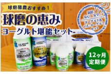 【12ヶ月定期便】球磨の恵みヨーグルト堪能セット