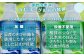 【3ヶ月定期便】のむヨーグルト詰め合わせセット