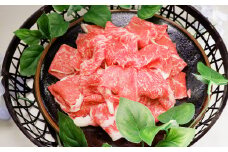 あか牛バラ切り落としセット（あか牛バラスライス500g あか牛のたれ200ml付き）