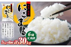 【定期便6回】にこまる5kg×1袋