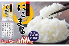 【定期便12回】にこまる5kg×1袋