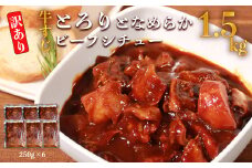 【訳あり】具だくさん やわらか牛すじシチュー 約250g×6パック 計 約1.5kg