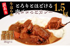 【訳あり】具だくさん やわらか牛ハラミカレー 約250g×6パック 計 約1.5kg
