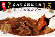 【訳あり】具だくさん やわらか牛タンカレー 約250g×6パック 計 約1.5kg
