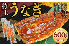 特上うなぎ 計約600g(200g×3尾)タレ付き
