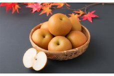 東光寺梨 約4kg 8～14玉前後 なし ナシ 梨 フルーツ 果物【2025年8月上旬～10月上旬発送予定／先行予約受付中】