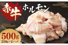 赤牛 ホルモン 500g（250g × 2パック） あか牛 熊本県産 牛肉 牛 牛ホルモン 国産 熊本 肉 もつ モツ もつ鍋 焼き肉 焼肉