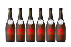 蔵八梅酒 720ml 6本 蔵八 梅酒 うめ酒 焼酎 本格焼酎 お酒 酒 地酒 九州 熊本