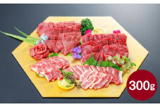 3種の馬刺し300g【赤身・フタエゴ・サガリ】冷凍 馬刺し 馬刺 馬肉 お肉 刺し身  国産 熊本県