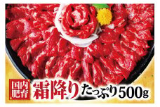 熊本馬刺し 霜降り たっぷり 約500g(約50g×10パック) 専用醤油付き