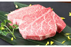 くまもと黒毛和牛 ヒレステーキ 400g （200g×2パック） 国産 熊本 和牛 牛肉 牛 ヒレ ステーキ 肉 お肉 冷凍