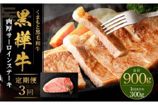 【3回定期便】黒樺牛 肉厚サーロインステーキ 300g 計900g 牛肉 和牛 お肉 ステーキ 黒毛和牛 国産 九州産 熊本県 湯前町