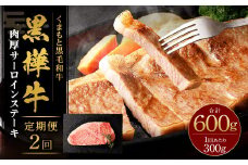 【2回定期便】黒樺牛 肉厚サーロインステーキ 300g 計600g 牛肉 和牛 お肉 ステーキ 黒毛和牛 国産 九州産 熊本県 湯前町