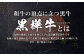 【2回定期便】 黒樺牛 サーロインステーキ 400g