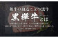 【2回定期便】 黒樺牛 ロースステーキ 400g （200g×2パック）