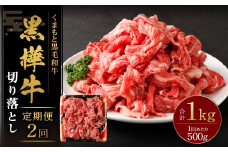 【2回定期便】 黒樺牛 切り落とし500g （500g×1パック） 計1000g 黒毛和牛 牛肉 切り落とし肉 冷凍