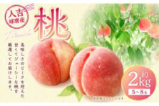 桃 約2kg（5～8玉）【2025年6月下旬～8月上旬発送予定】 もも モモ 果物 フルーツ 果実 熊本県 湯前町 冷蔵