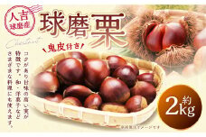 球磨栗（鬼皮付き） 2kg【2025年9月下旬～10月下旬発送予定】 栗 和栗 果物 フルーツ お菓子 おつまみ 秋 国産 熊本県 湯前町