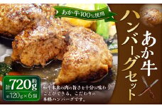 あか牛100％ ハンバーグセット（あか牛ハンバーグ 120g×6個）合計720g 和牛 国産 九州産 惣菜 冷凍 熊本県 湯前町