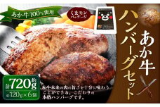 くまモン あか牛ハンバーグセット（あか牛ハンバーグ120g×6個）合計720g 和牛 国産 九州産 惣菜 冷凍 熊本県 湯前町