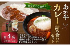 あか牛 カレー 詰め合わせ セット（あか牛カレー 180g×2袋、あか牛100％挽肉カレー 220g×2袋）計4食 惣菜 レトルト 熊本県 湯前町