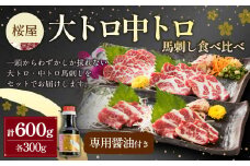 【桜屋】大トロ 中トロ 馬刺し 各300g 食べ比べ 計600g（専用醤油付き150ml×1本） 馬肉 馬刺 トロ タレ付き セット 冷凍 熊本県 湯前町