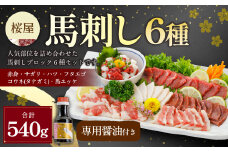 【桜屋】馬刺し6種【赤身・サガリ・ハツ・フタエゴ・コウネ（タテガミ）・馬ユッケ】540g（専用醤油付き150ml×1本） 馬肉 馬刺 馬刺し タレ付き 食べ比べ セット 冷凍 熊本県 湯前町