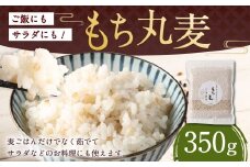 ご飯にもサラダにも！もち丸麦 350g 雑穀米 雑穀 麦 もち麦 麦ごはん 麦ご飯 サラダ 食物繊維 常温 お取り寄せ 国産 九州産 熊本県 湯前町